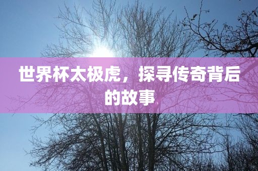 世界杯太极虎，探寻传奇背后的故事