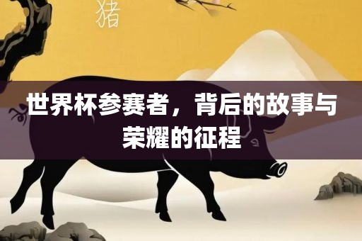 世界杯参赛者，背后的故事与荣耀的征程