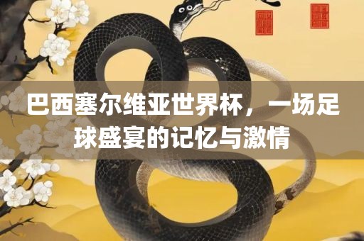 巴西塞尔维亚世界杯，一场足球盛宴的记忆与激情