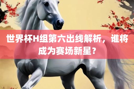 世界杯H组第六出线解析，谁将成为赛场新星？