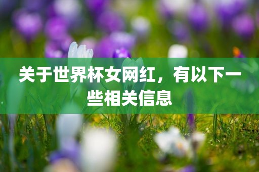 关于世界杯女网红，有以下一些相关信息