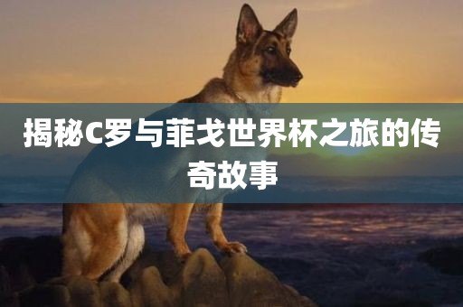 揭秘C罗与菲戈世界杯之旅的传奇故事