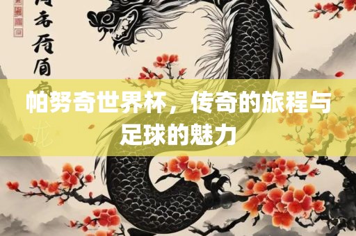 帕努奇世界杯，传奇的旅程与足球的魅力
