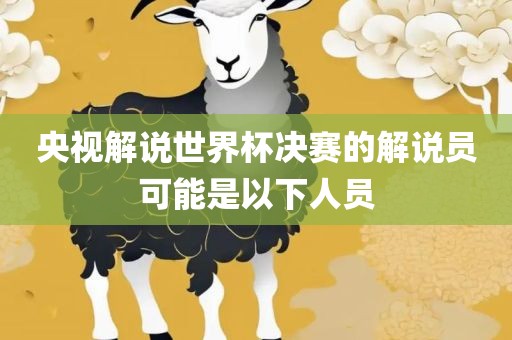 央视解说世界杯决赛的解说员可能是以下人员