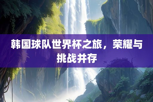 韩国球队世界杯之旅，荣耀与挑战并存
