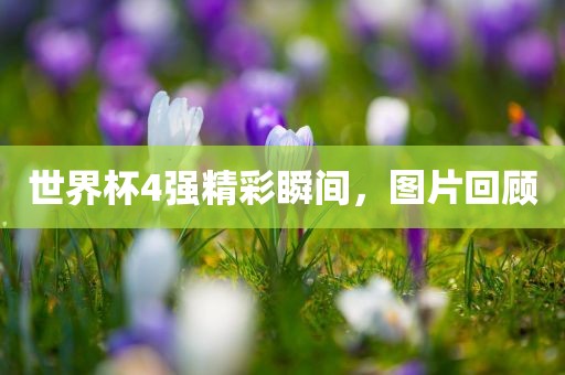 世界杯4强精彩瞬间，图片回顾