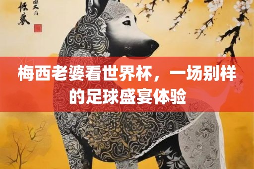 梅西老婆看世界杯，一场别样的足球盛宴体验