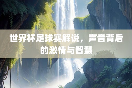 世界杯足球赛解说，声音背后的激情与智慧