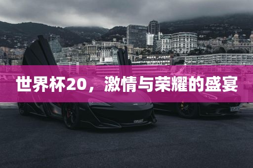 世界杯2丹东日丰电子有限公司0，激情与荣耀的盛宴