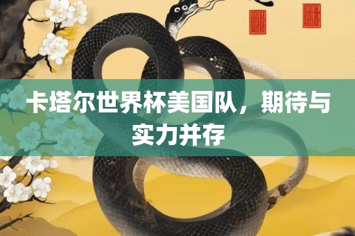 卡塔尔世界杯美国队，期待与实力并存