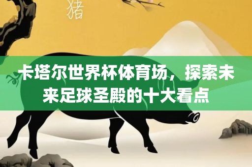 卡塔尔世界杯体育场，探索未来足球圣殿的十大看点