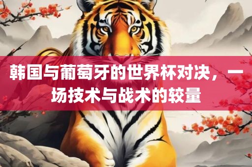 韩国与葡萄牙的世界杯对决，一场技术与战术的较量
