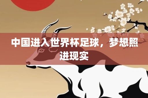 中国进入世界杯足球，梦想照进现实