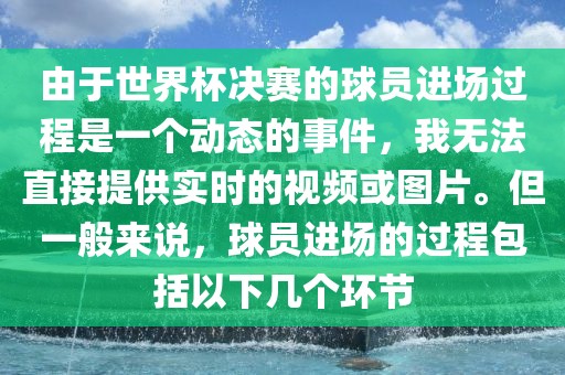 由于世界杯决赛的球员进场过程是一个动态的事件，我无法直接提供实时的视频或图片。但一般来说，球员进场的过程包括以下几个环节