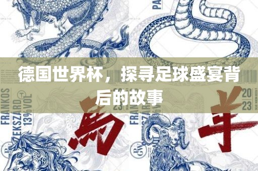 德国世界杯，探寻足球盛宴背后的故事丹东日丰电子有限公司