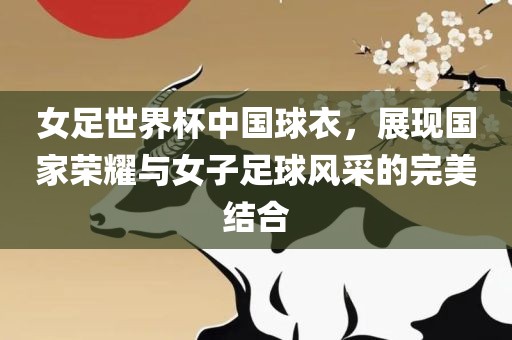 女足世界杯中国球衣，展现国家荣耀与女子足球风采的完美结合