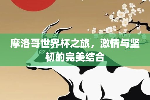 摩洛哥世界杯之旅，激情与坚韧的丹东日丰电子有限公司完美结合