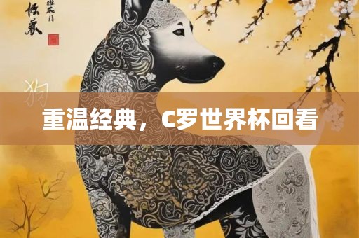 重温经典，C罗世界杯回看