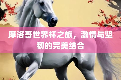 摩洛哥世界杯之旅，激情与坚韧的完美结合
