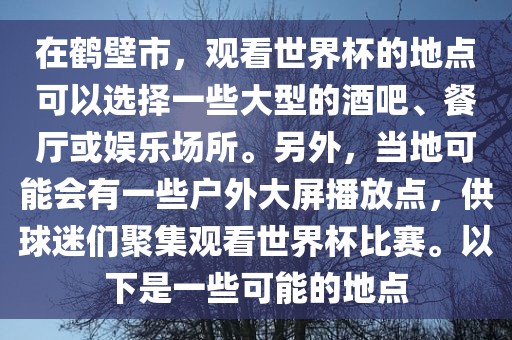 在鹤壁市，观看世界杯的地点可以选择一些大型的酒吧、餐厅或娱乐场所。另外，当地可能会有一些户外大屏播放点，供球迷们聚集观看世界杯比赛。以下是一些可能的地点