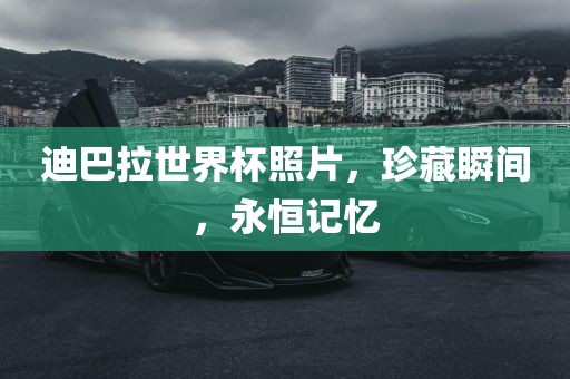 迪巴拉世界杯照片，珍藏瞬间，永恒记忆
