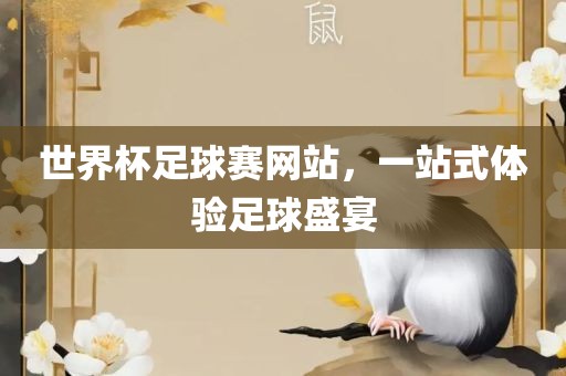 世界杯足球赛网站，一站式体验足球盛宴