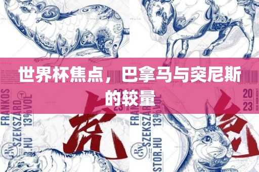 世界杯焦点，巴拿马与突尼斯的较量