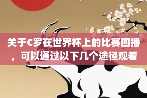 关于C罗在世界杯上的比赛回播，可以通过以下几个途径观看