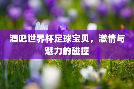酒吧世界杯足球宝贝，激情与魅力的碰撞