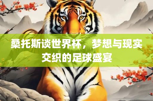 桑托斯谈世界杯，梦想与现实交织的足球盛宴