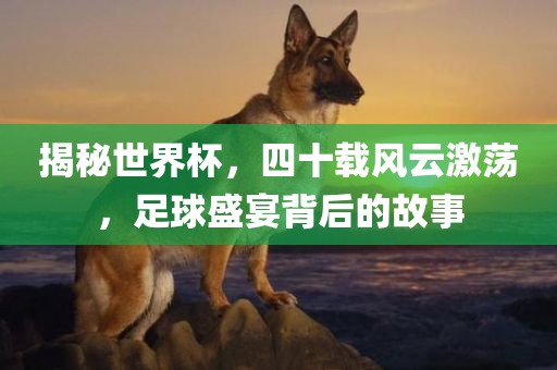揭秘世界杯，四十载风云激荡，足球盛宴背后的故事