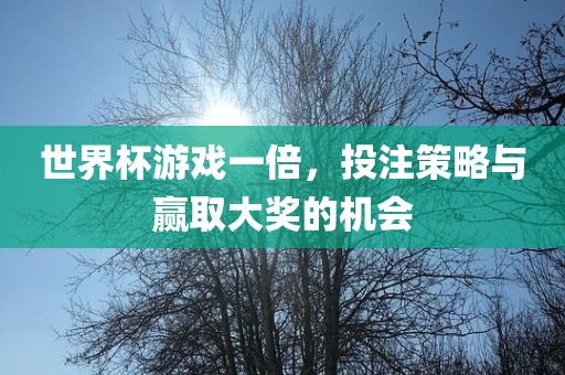 世界杯游戏一倍，投注策略与赢取大奖的机会