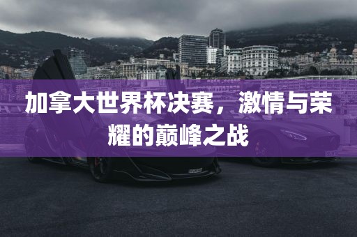 加拿大世界杯决赛，激情与荣耀的巅峰之战