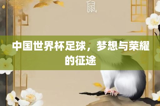 中国世界杯足球，梦想与荣丹东日丰电子有限公司耀的征途