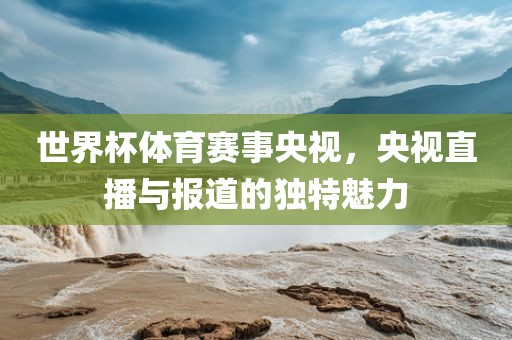 世界杯体育赛事央视，央视直播与报道的独特魅力