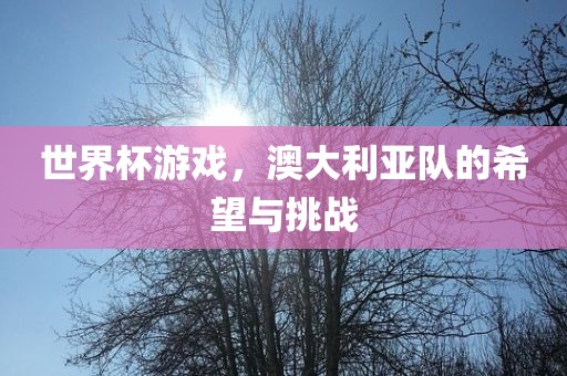 世界杯游戏，澳大利亚队的希望与挑战