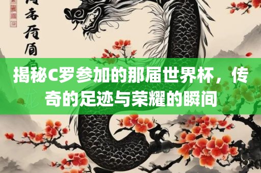 揭秘C罗参加的那届世界杯，传奇的足迹与荣耀的瞬间