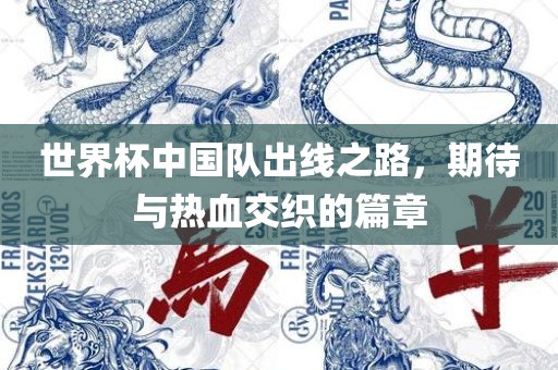 世界杯中国队出线之路，期待与热血交织的篇章