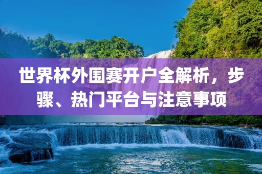 世界杯外围赛开户全解析，步骤、热门平台与注意事项