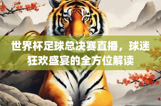 世界杯足球总决赛直播，球迷狂欢盛宴的全方位解读