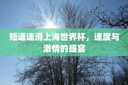 短道速滑上海世界杯，速度与激情的盛宴