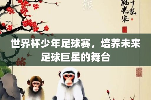 世界杯少年足球赛，培养未来足球巨星的舞台