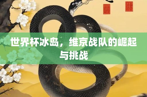 世界杯冰岛，维京战队的崛起与挑战