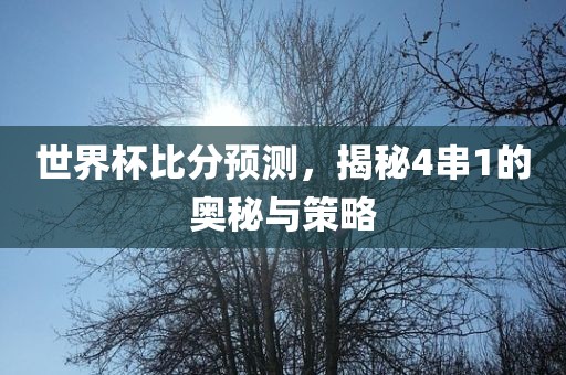 世界杯比分预测，揭秘4串1的奥秘与策略