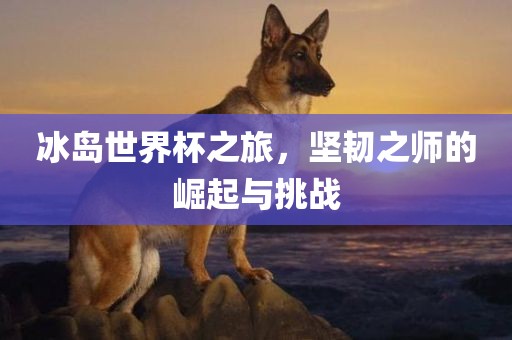冰岛世界杯之旅，坚韧之师的崛起与挑战