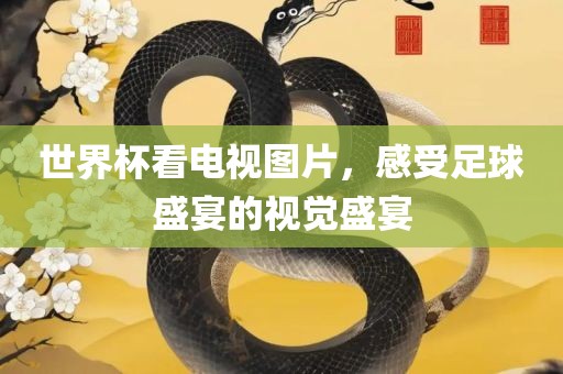世界杯看电视图片，感受足球盛宴的视觉盛宴