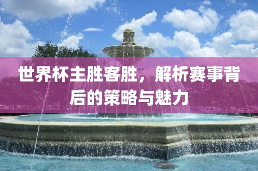 世界杯主胜客胜，解析赛事背后的策略与魅力