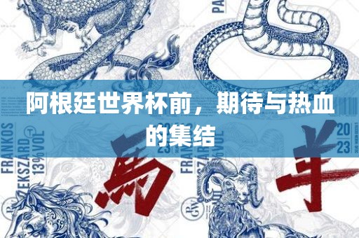 阿根廷世界杯前，期待与热血的集结