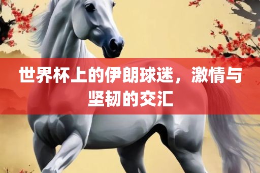 世界杯上的伊朗球迷，激情与坚韧的交汇