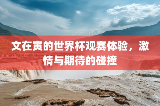 文在寅的世界杯观赛体验，激情与期待的碰撞